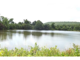Property photo 67 - REAL ESTATE AUCTION - 1,000+/- ACRES OFFERED IN 10 TRACTS IN PITTSBURG CO., OKLAHOMA